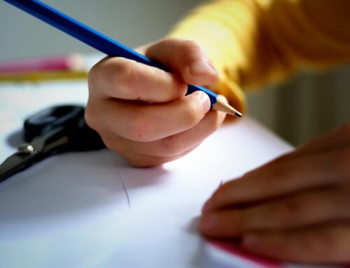 Gran acogida de los talleres educativos de Xip i Xop en su plataforma online